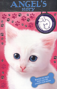Book Cover for Angel's Story by Jane Clarke, Jason Chapman, Artful Doodlers Ltd