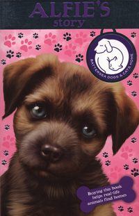 Book Cover for Alfie's Story by Sarah Hawkins, Jason Chapman, Artful Doodlers Ltd