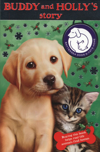 Book Cover for Buddy and Holly's Story by Sarah Hawkins, Sharon Rentta