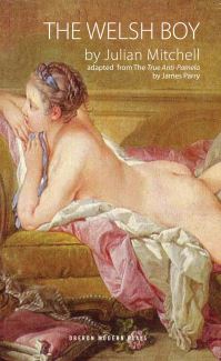 Book Cover for The Welsh Boy by Julian Mitchell