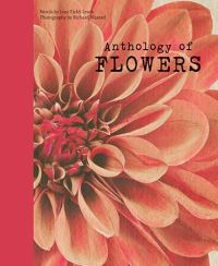 Book Cover for Anthology of Flowers by Jane FieldLewis