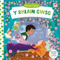 Book Cover for Y Rhiain Gwsg by Dan Taylor, Non Tudur