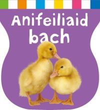 Book Cover for Anifeiliaid Bach by Ryan Head