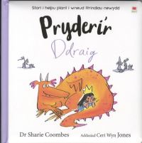 Book Cover for Pryderi'r Ddraig by Sharie Coombes