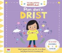 Book Cover for Pan Dwi'n Drist by Janet Rose