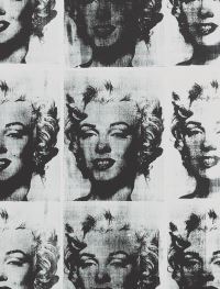 Book Cover for Andy Warhol by Tate Modern Gallery, Museum Ludwig, Art Gallery of Ontario, Dallas Museum of Art