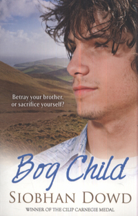 Book Cover for Bog Child by Siobhan Dowd