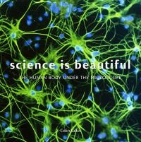 Book Cover for Science Is Beautiful by Colin Salter
