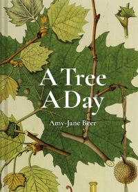 Book Cover for A Tree a Day by AmyJane Beer