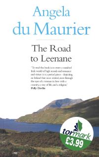 Book Cover for The Road to Leenane by Sue Lewington