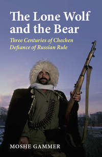 Book Cover for The Lone Wolf and the Bear by M Gammer
