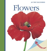 Book Cover for Flowers by Sarah Matthews, René Mettler