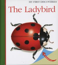 Book Cover for The Ladybird by Sylvaine Peyrols, Pascale de Bourgoing, Gallimard Jeunesse Publisher