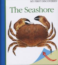 Book Cover for The Seashore by Pierre de Hugo, Elisabeth Cohat