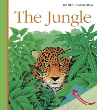 Book Cover for The Jungle by René Mettler, Gallimard Jeunesse Publisher