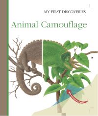Book Cover for Animal Camouflage by René Mettler, Gallimard Jeunesse Publisher
