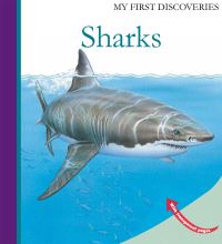 Book Cover for Sharks by Ute Fuhr, Raoul Sautai