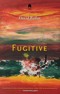 Book Cover for Fugitive by David Butler