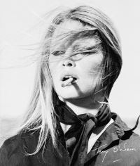 Book Cover for Terry O'Neill by Terry ONeill