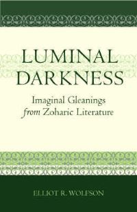 Book Cover for Luminal Darkness by Elliot R Wolfson