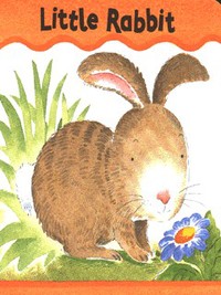Book Cover for Little Rabbit by Nicola Smee