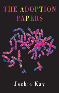 Book Cover for The Adoption Papers by Jackie Kay