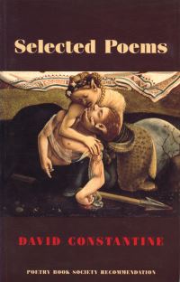 Book Cover for Selected Poems by David Constantine