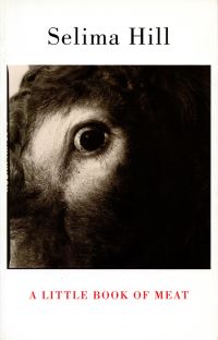 Book Cover for A Little Book of Meat by Selima Hill