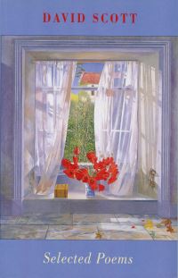 Book Cover for David Scott by David Scott