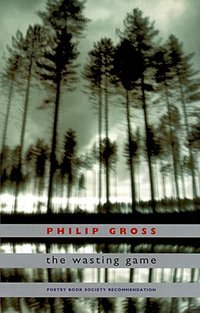 Book Cover for The Wasting Game by Philip Gross