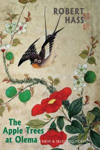 Book Cover for The Apple Trees at Olema by Robert Hass