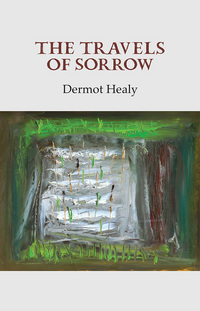 Book Cover for The Travels of Sorrow by Dermot Healy