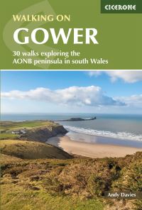 Book Cover for Walking in Gower by Andrew Davies