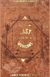 Book Cover for The Last of the Mohicans by James Fenimore Cooper