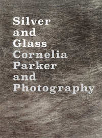 Book Cover for Silver and Glass by Cornelia Parker