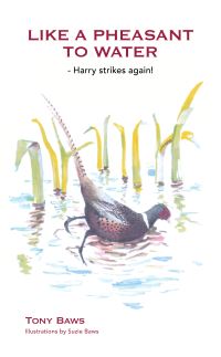 Book Cover for Like a Pheasant to Water by Tony Baws