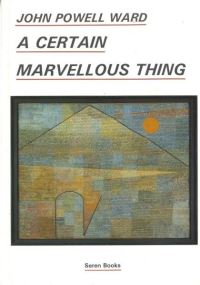 Book Cover for A Certain Marvellous Thing by John Powell