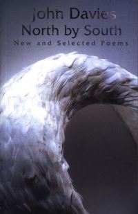 Book Cover for North by South by John Davies