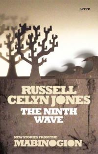 Book Cover for The Ninth Wave by Russell Celyn Jones