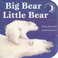 Book Cover for Big Bear, Little Bear by David Bedford, Jane Chapman