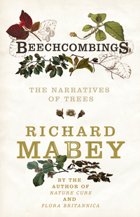 Book Cover for Beechcombings by Richard Mabey