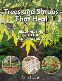 Book Cover for Trees and Shrubs That Heal by Anne Stobart