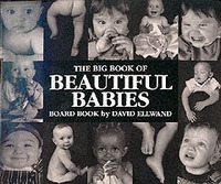Book Cover for David Ellwand's Big Book of Beautiful Babies by David Ellwand
