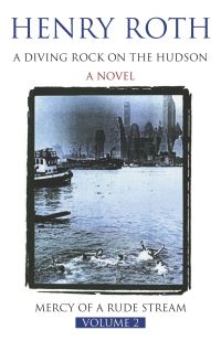 Book Cover for A Diving Rock on the Hudson by Henry Roth