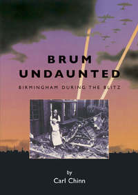 Book Cover for Brum Undaunted by Carl Chinn