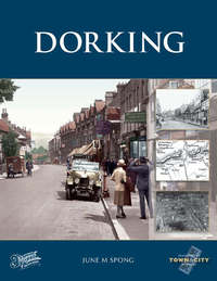 Book Cover for Dorking by June Spong