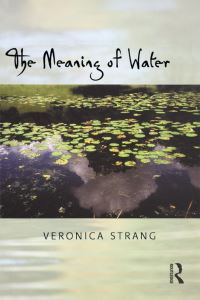 Book Cover for The Meaning of Water by Veronica Strang