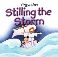Book Cover for Stilling The Storm by Ms Juliet David