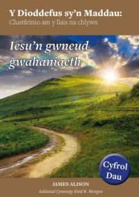 Book Cover for Dioddefus Sy'n Maddau, Y. Cyfrol 2 by James Alison