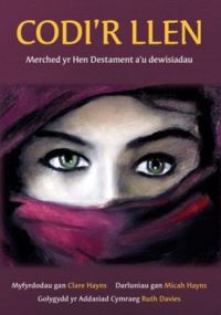 Book Cover for Codi'r Llen by Clare Hayns